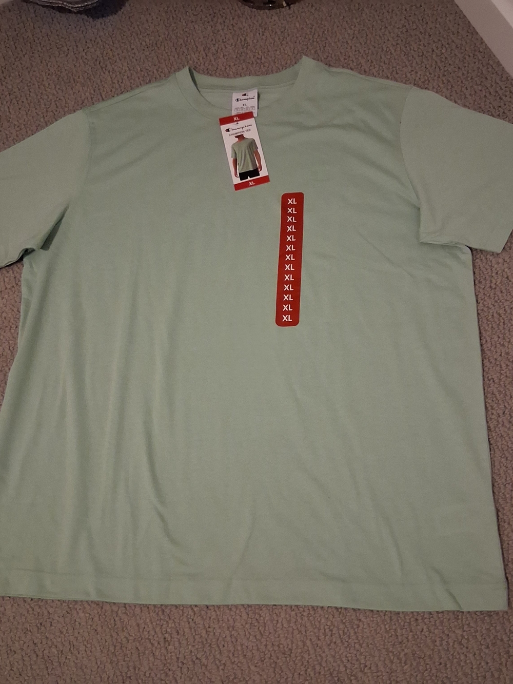 Champion Men's Short Sleeve Crew Tee in Mint Green